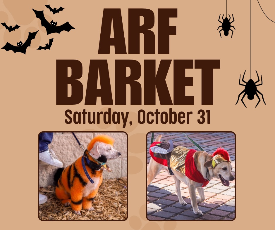 Arf Barket homepage image